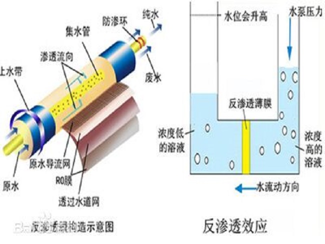 反渗透原理图.jpg